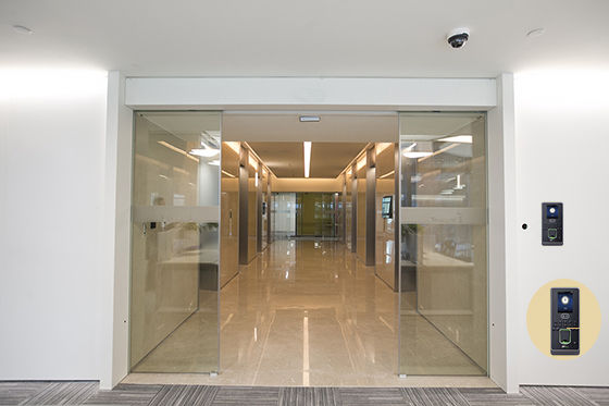 91视频色版免费